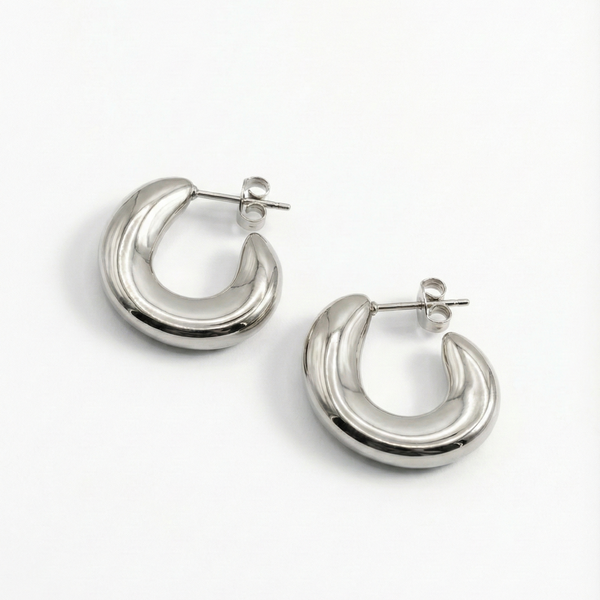 Sierra Dome Earrings