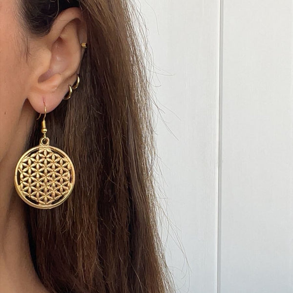 Royal Carmine Earrings