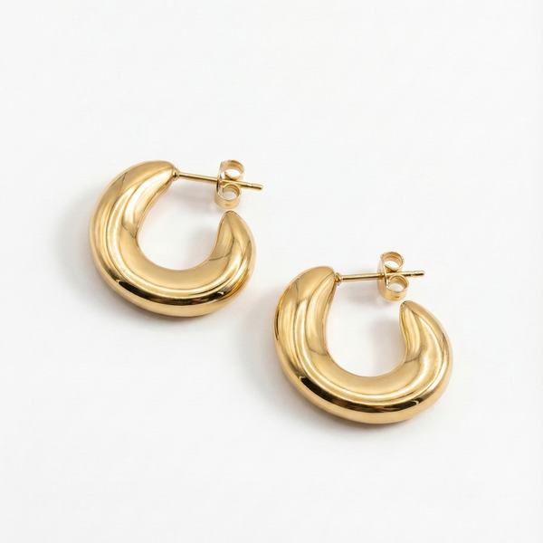 Sierra Dome Earrings